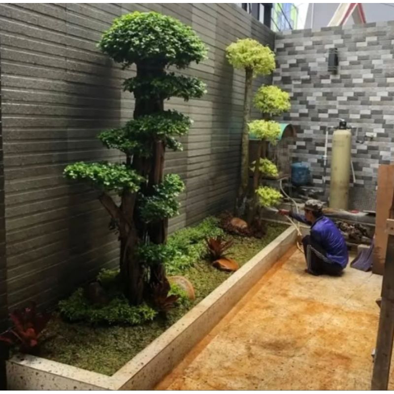 taman bonsai mikro dan anting putri