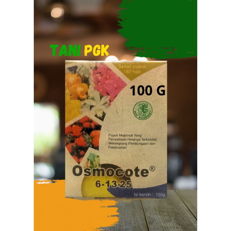 pupuk majemuk osmocote 6 13 25