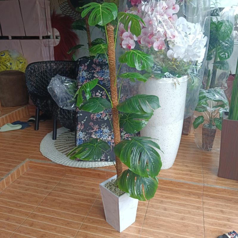 Monstera jumbo artificial / pohon monstera
