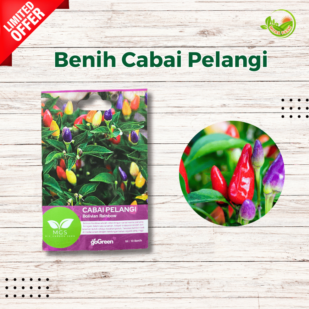 Benih Cabe Pelangi-Benih Cabai Pelangi Rainbow-Benih Cabe Pelangi Hias