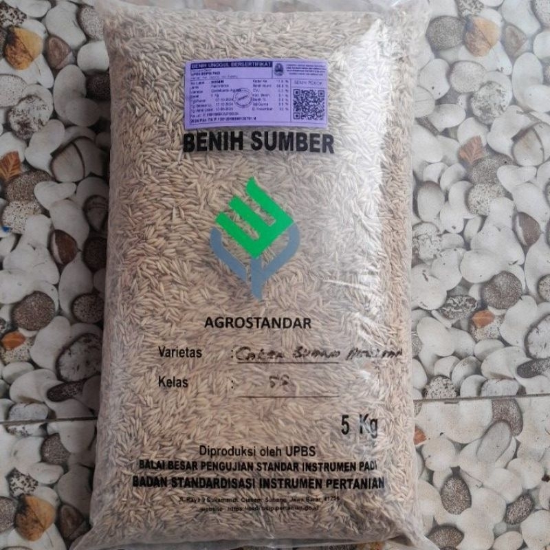 Benih padi super genjah Cakrabuana Agritan 5 kg