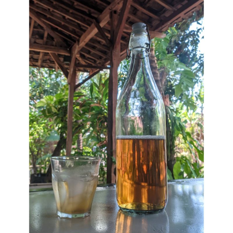 

Starter Kombucha / Starter / Membuat Teh Kombucha