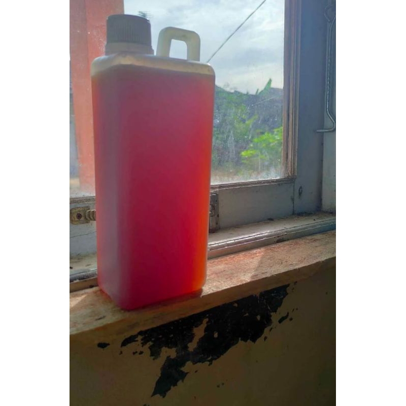 madu hutan asli Borneo/madu hutan liar / murni 100%(apis dorsata)