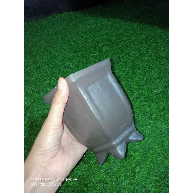 POT BONSAI SEMEN CASCADE MAME