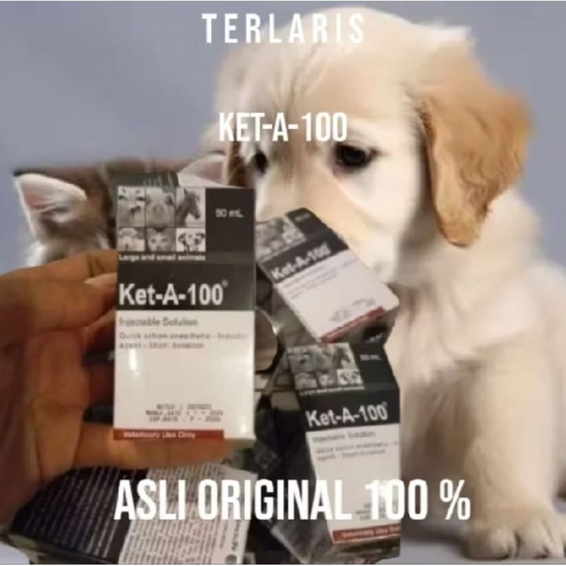 KET-A 100 KETA A COCOK UNTUK HEWAN TERNAK