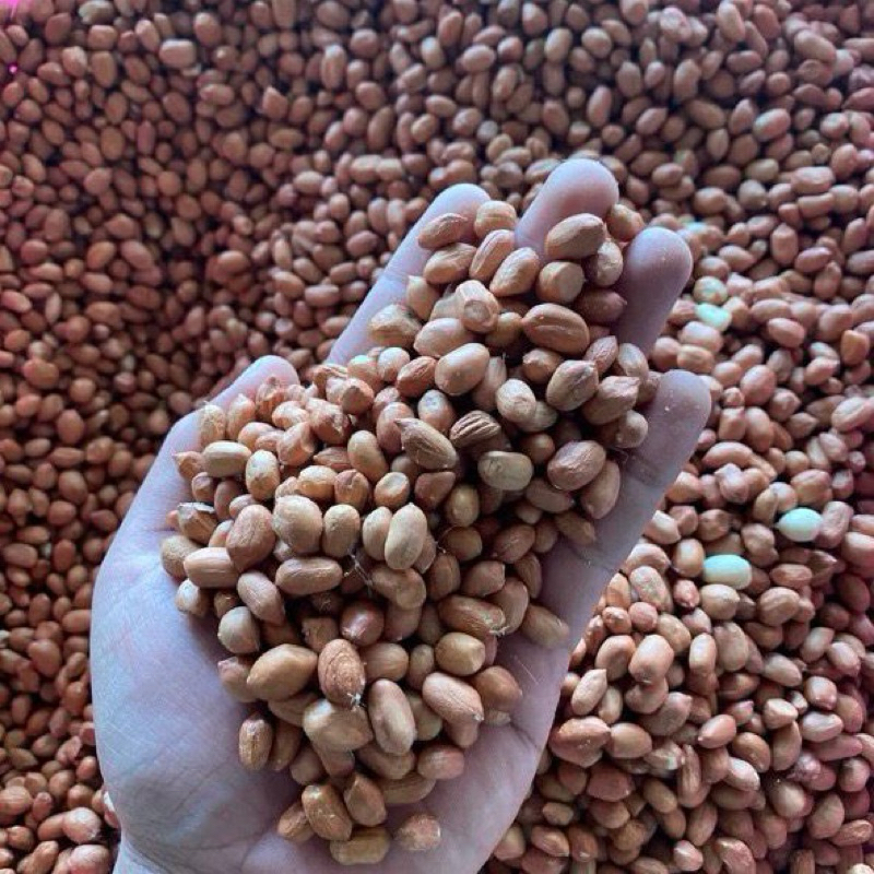 

Kacang Tanah 500g
