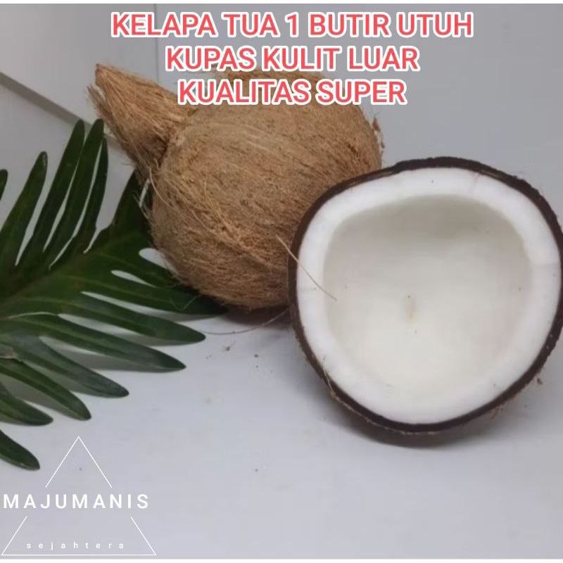 

[KEBUN SENDIRI] KELAPA TUA BESAR/UTUH BAHAN SANTAN 1 BUTIR