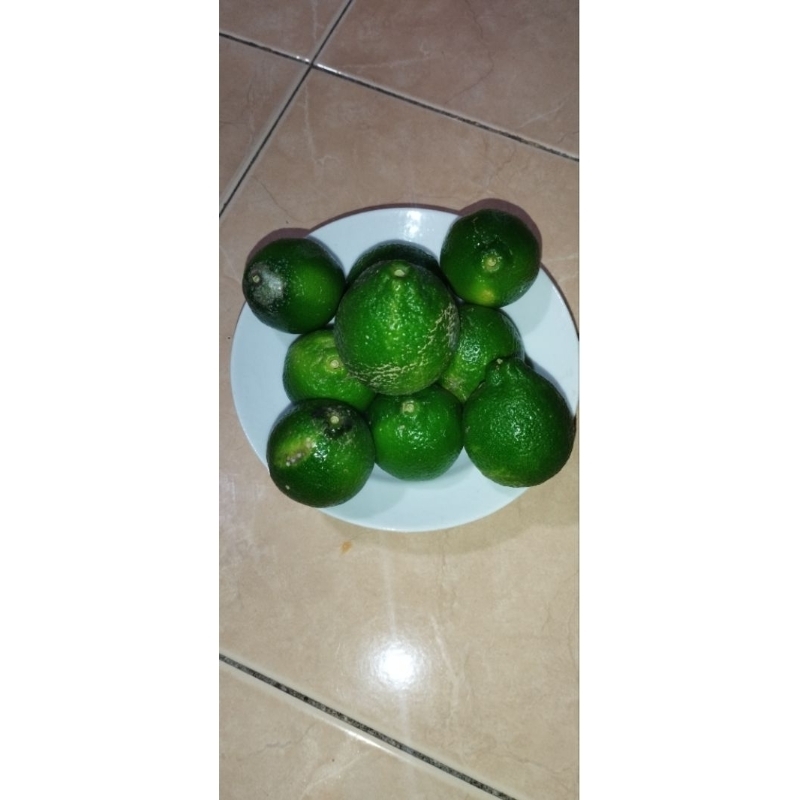 

Jeruk Nipis segar