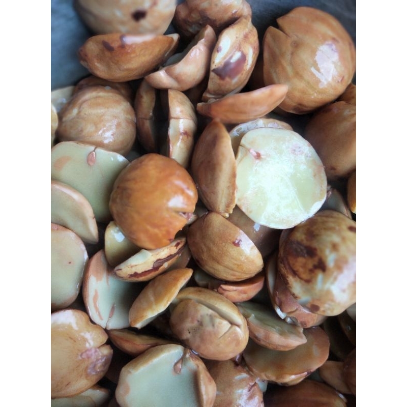 

NOB Jengkol Tua Rebus/ Jengkol Rebus / Sepi Tua Rebus 250 Gram Gram 1 Kg