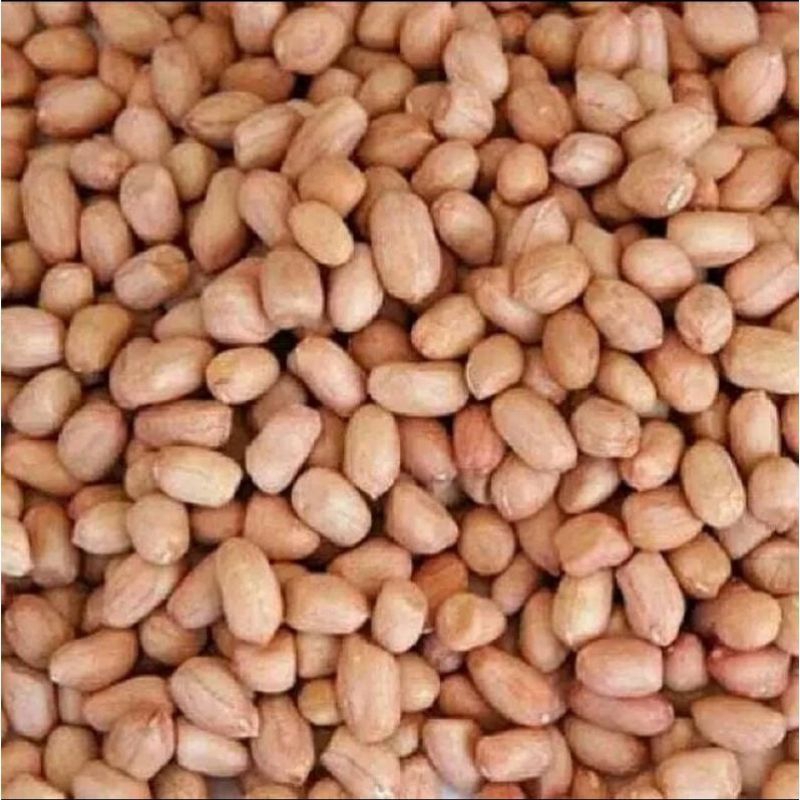 

kacang tanah/kacang super/kacang lokal 1000gr