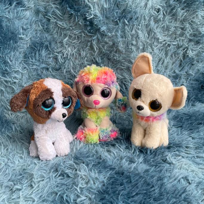 Boneka Poodle Dog - Duke Puppy - Chihuahua - Brand Ty
