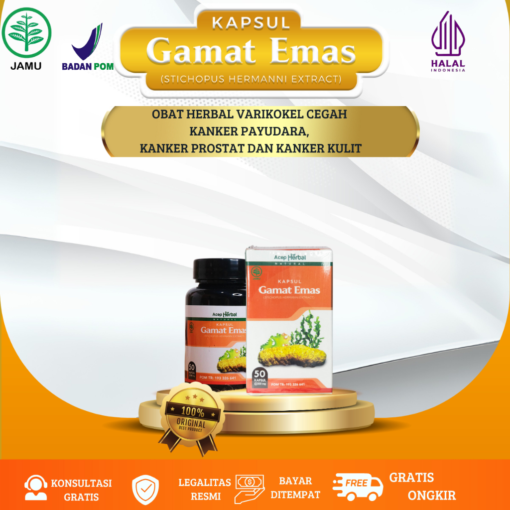 KAPSUL GAMAT EMAS Obat Menghilangkan Suntik Silikon Mr P Bengkak Asli Original 100 Kapsul Obat Diabe