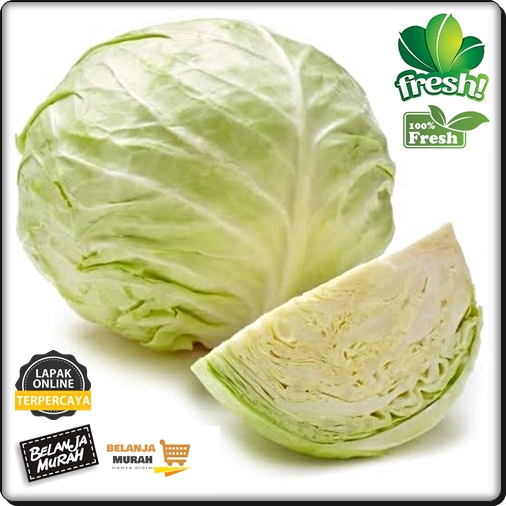 

KOL KUBIS SUPER MURAH 500 gr 500gr Segar dan Fresh Sayuran Sayur