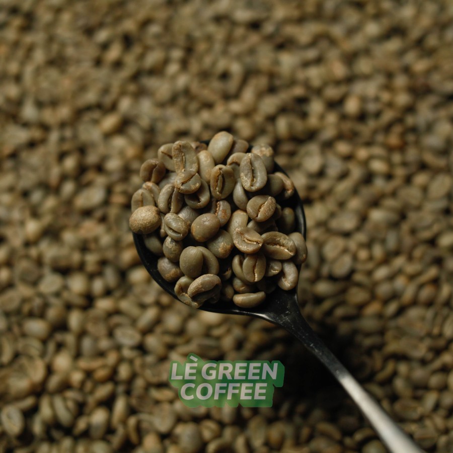 

ARABICA IJEN FULL WASH (Biji Kopi)