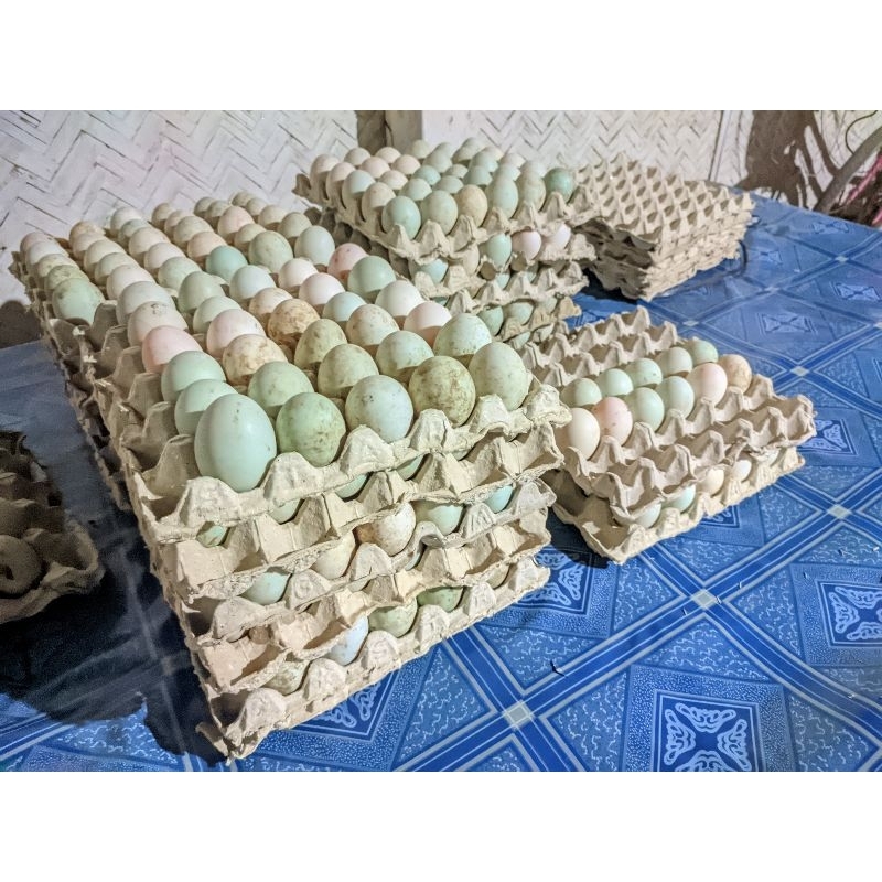 

telur asin matang Lezat