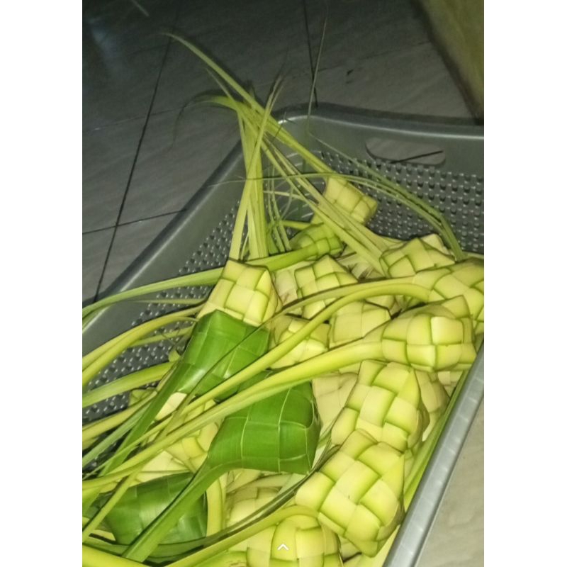 

ketupat (10 butir )