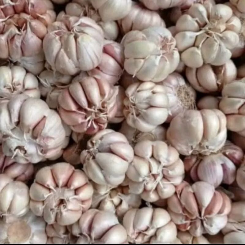 

bawang putih bersih 500g