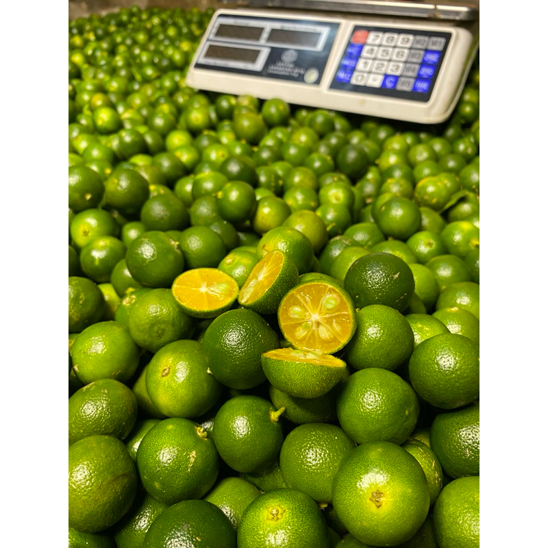 

1KG Jeruk sonkit Peras Kasturi || A+