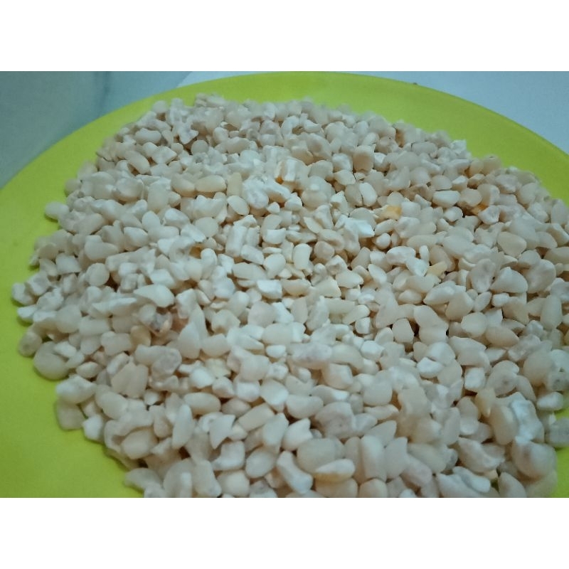 

Jagung Bose Pulut/Pulu/Ketan - Jagung Putih Khas Kupang NTT siap masak