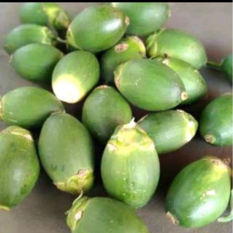 

TERMURAH JUAL Buah pinang muda segar berkualitas
