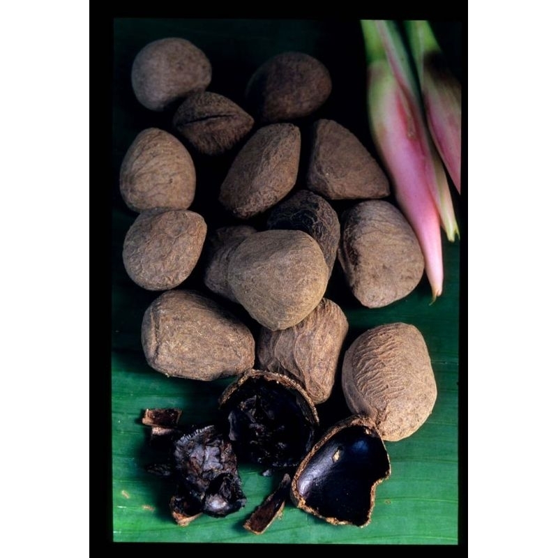 

KLUWEK / KLUWAK /KLUEK / BUMBU MASAK RAWON