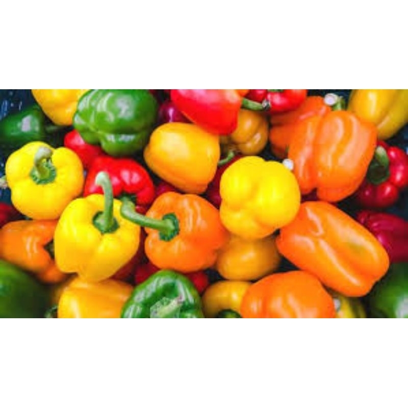 

paprika berat 200/250gram