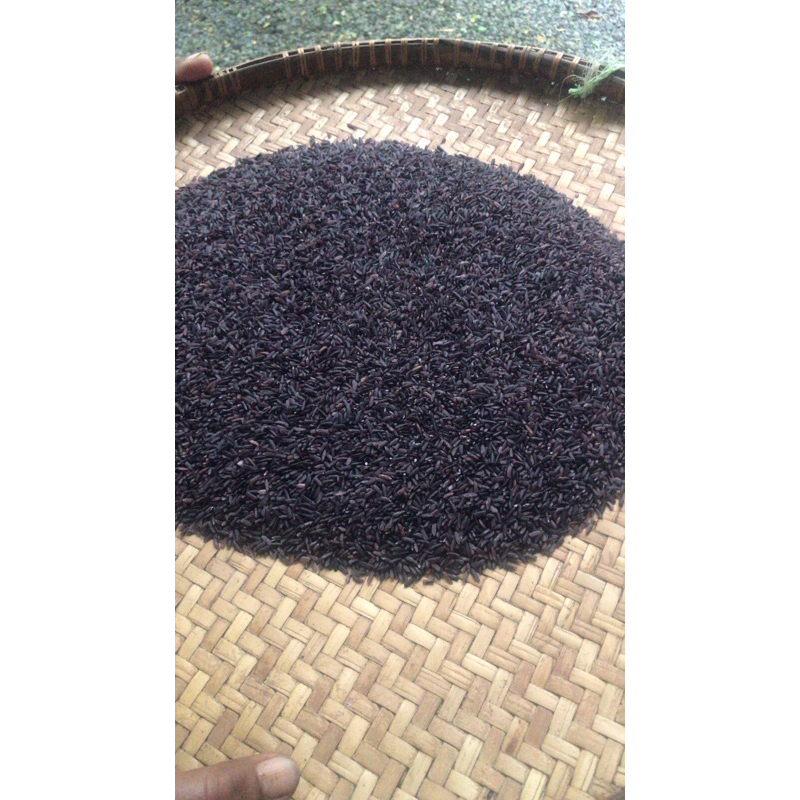 

Beras Hitam