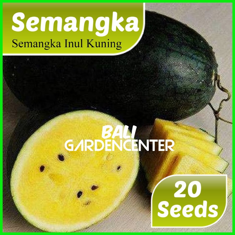 Isi 20 Benih Biji Semangka - Semangka Inul Kuning