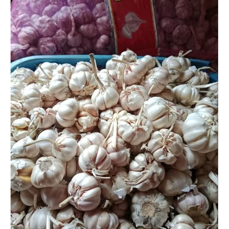 

BAWANG PUTIH [ baput] Bawang