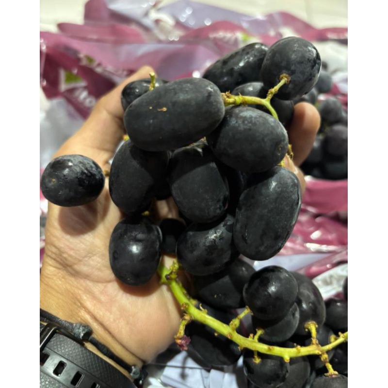 

Anggur Autumn Adora fresh | Black autumn manis