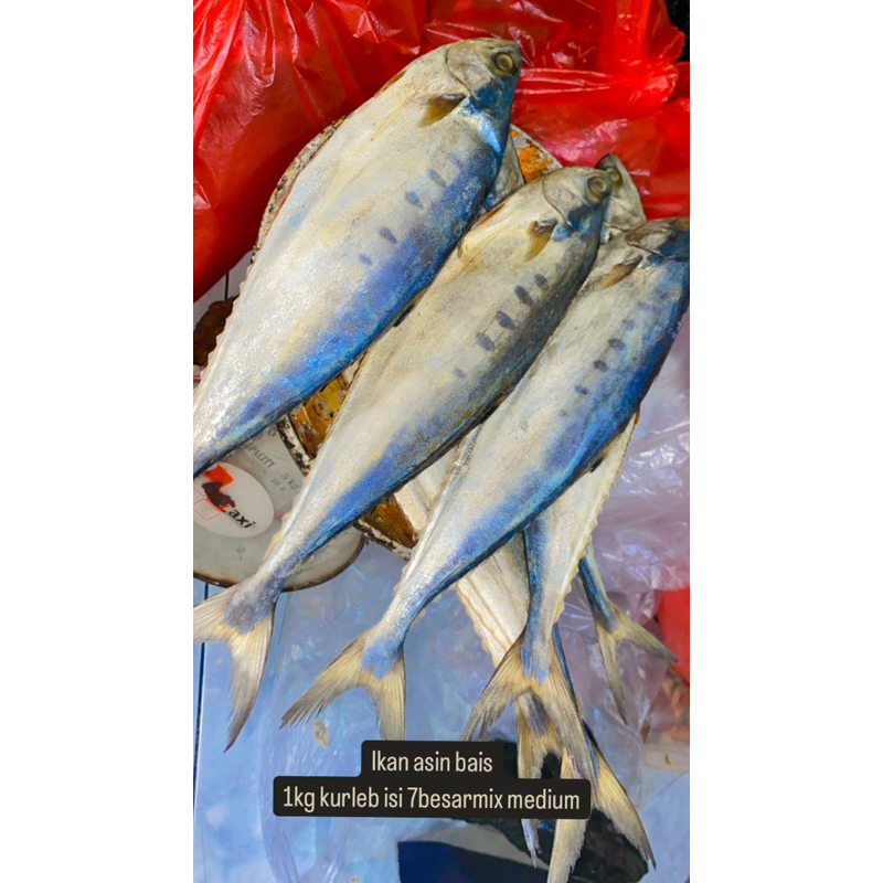 

ikan asin peda grade A | ikan bais Tengiri KW kualitas premium