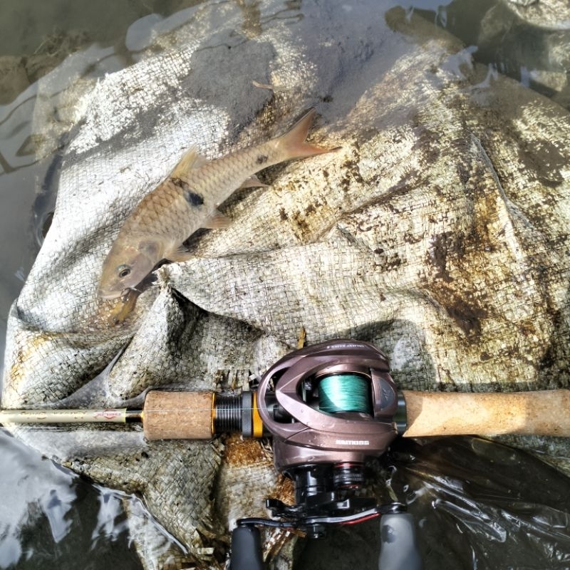 kastking Valiant eagle 2