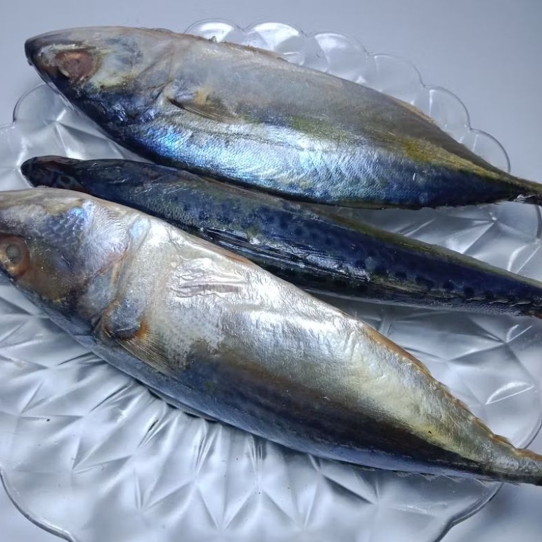 

Ikan kembung banjar