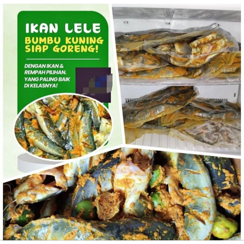 

Ikan Lele bumbu kuning marinasi siap goreng, gurih, fresh dan halal 1kg