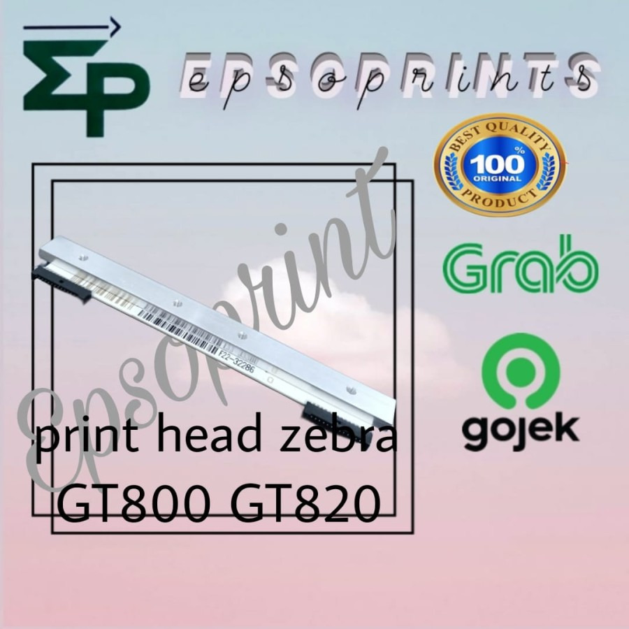 Print Head Zebra GT820, GT800, 203DPI New Original