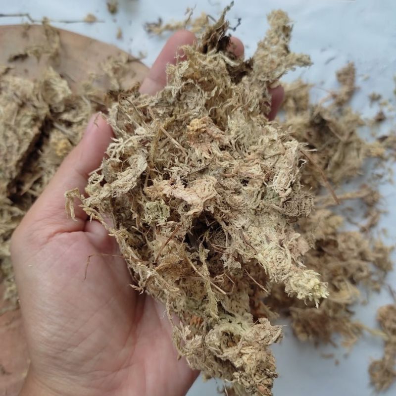 SPAGNUM MOSS LOKAL KERING