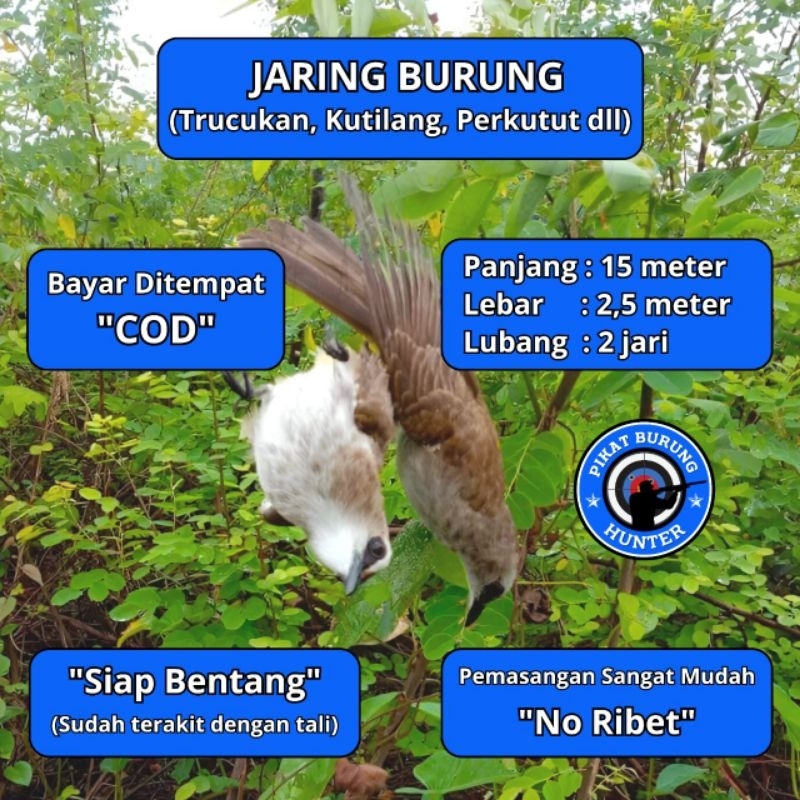 JARING JERAT BURUNG TRUCUKAN JARINGAN BURUNG SIAP PAKE JARING BURUNG TRUCUKAN JALA PIKAT BURUNG SIAP
