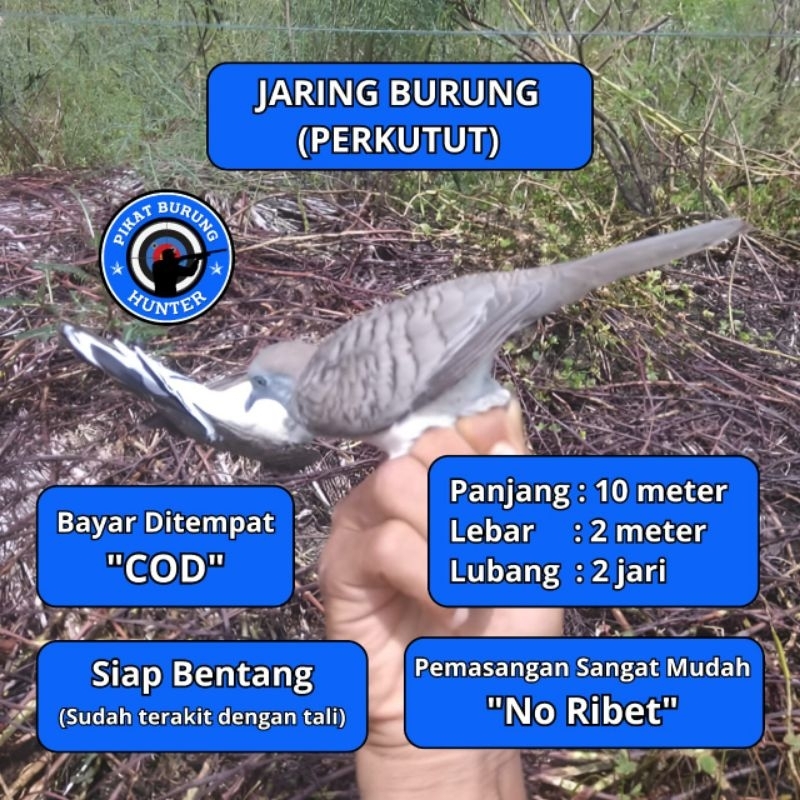 JARING BURUNG PERKUTUT JARING BURUNG KUTUT JARING BURUNG KUTUT JARING BURUNG BESAR JARING BURUNG 2 I