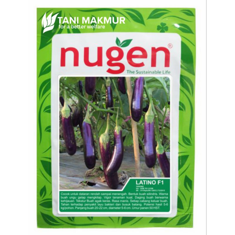 

TERONG LATINO FI 5GR