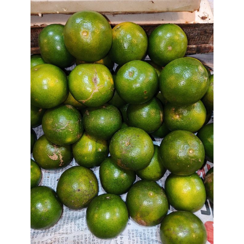 

jeruk peras 500grm