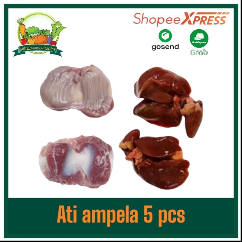 

Ati ampela fresh 5 pcs - KIRIM INSTAN