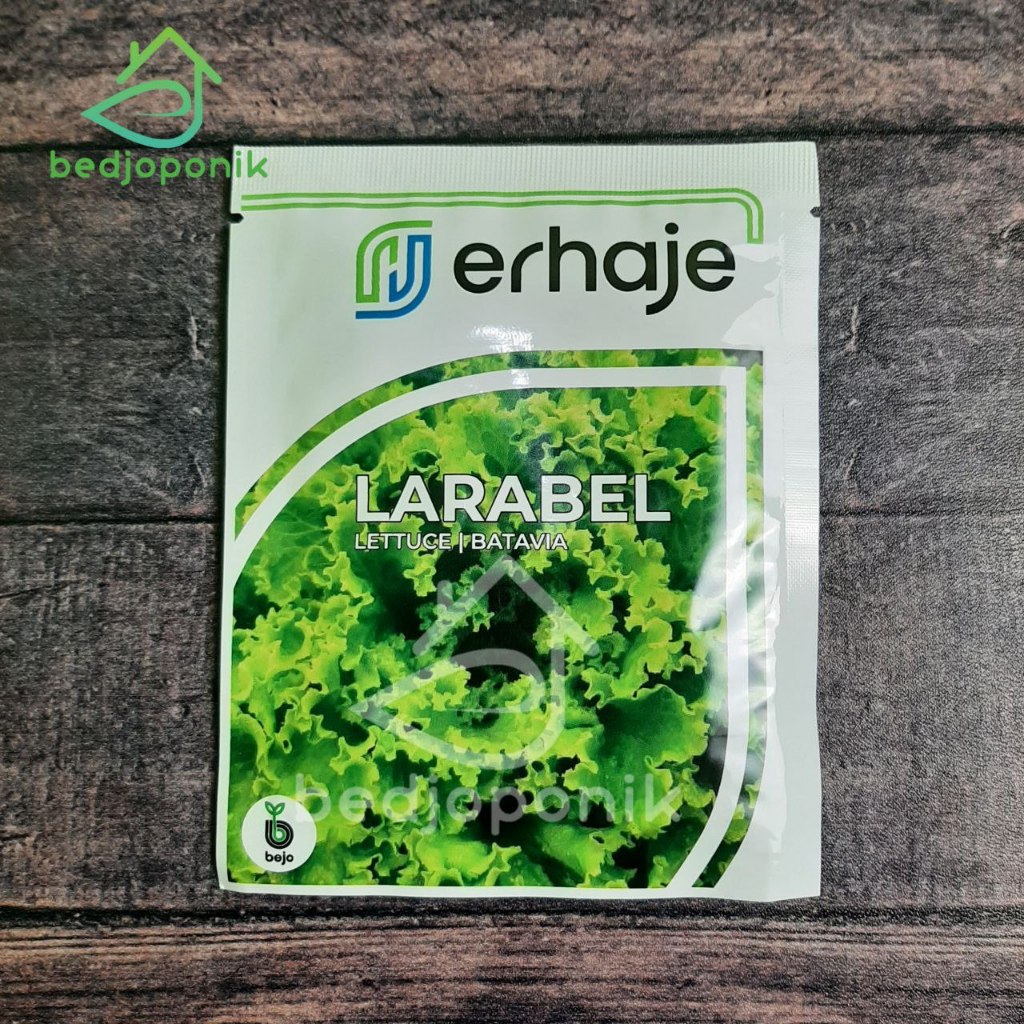 1000 pills LARABEL - bejo seed - Benih Lettuce Batavia Benih Selada bejo Original
