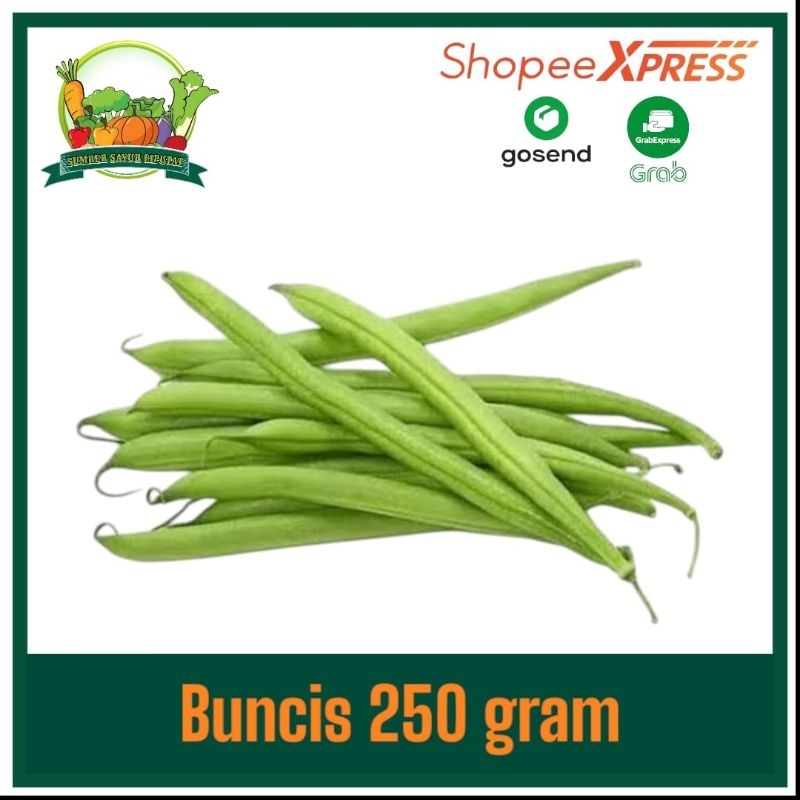 

Buncis hijau 250 gram - KIRIM INSTAN
