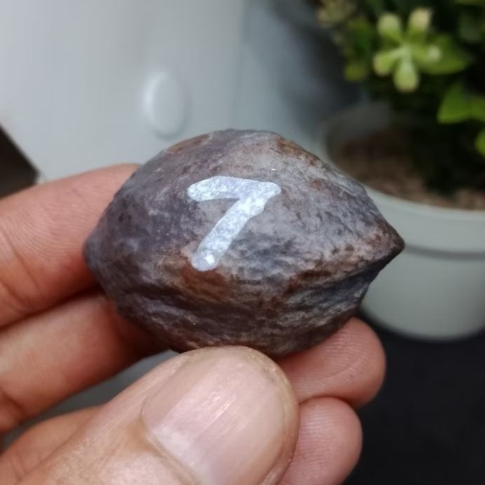 Muncang Adu Eti X Jabra kode (7) Jumbo