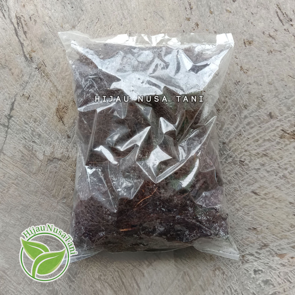 Media PAKIS REMUK / RAJANG / CACAH HALUS  - media porus porous tanaman anggrek hias