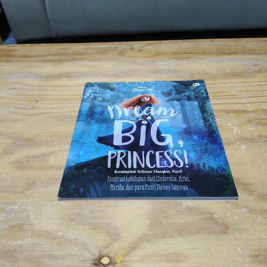 Buku Disney Princess Dream Big Princess