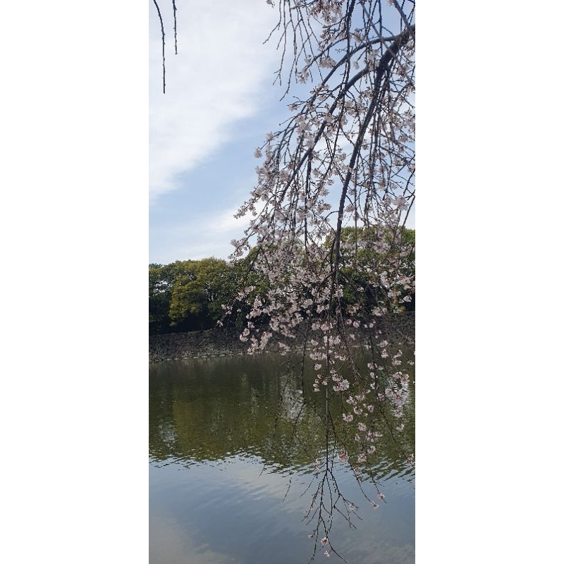 jastip jepang