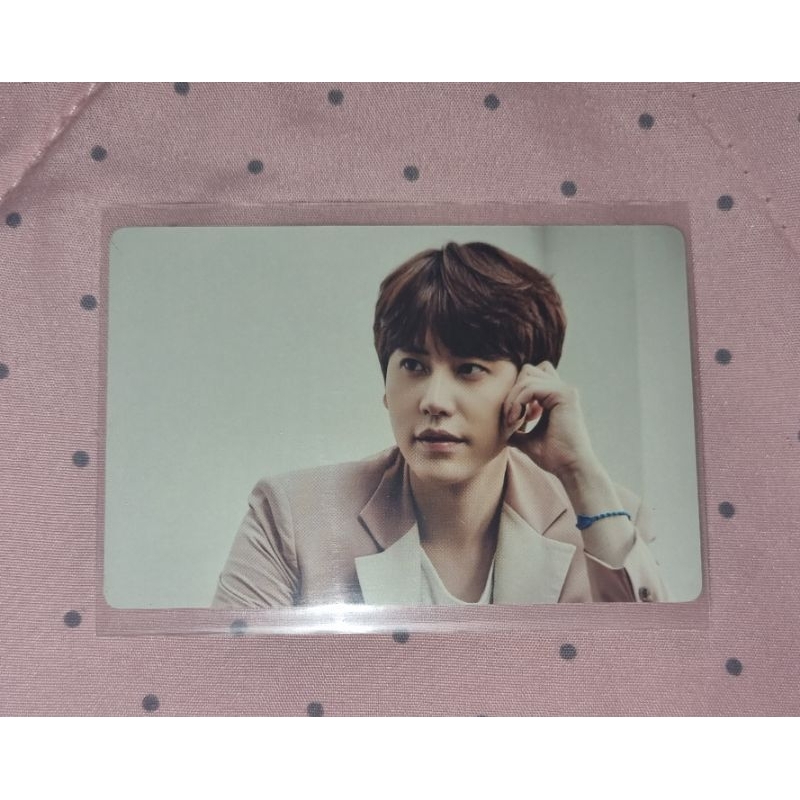 Kyuhyun photocard Season Greetings 2014