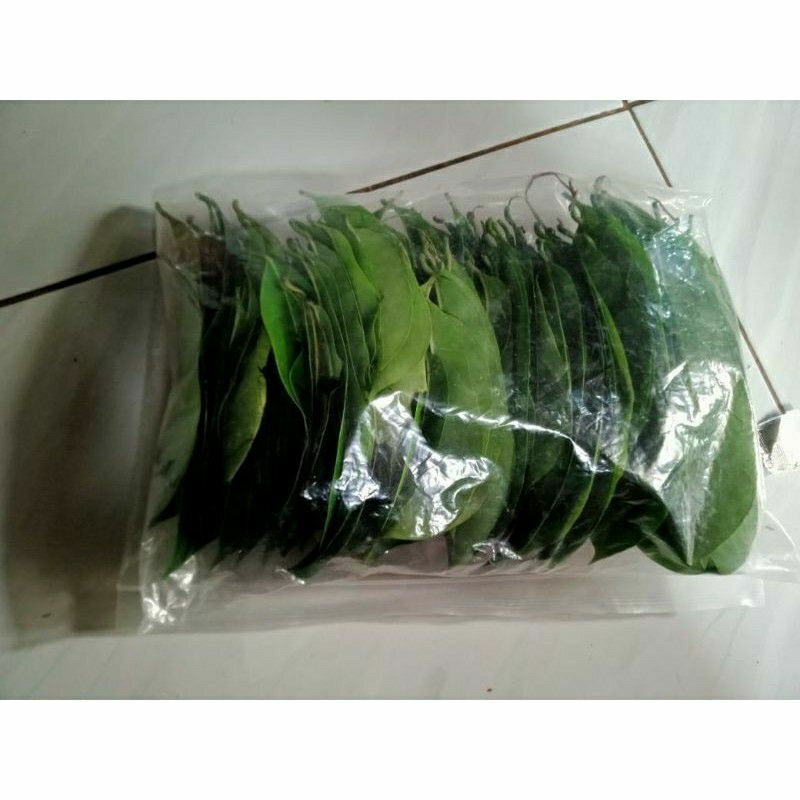 

Daun sirsak 50 lembar