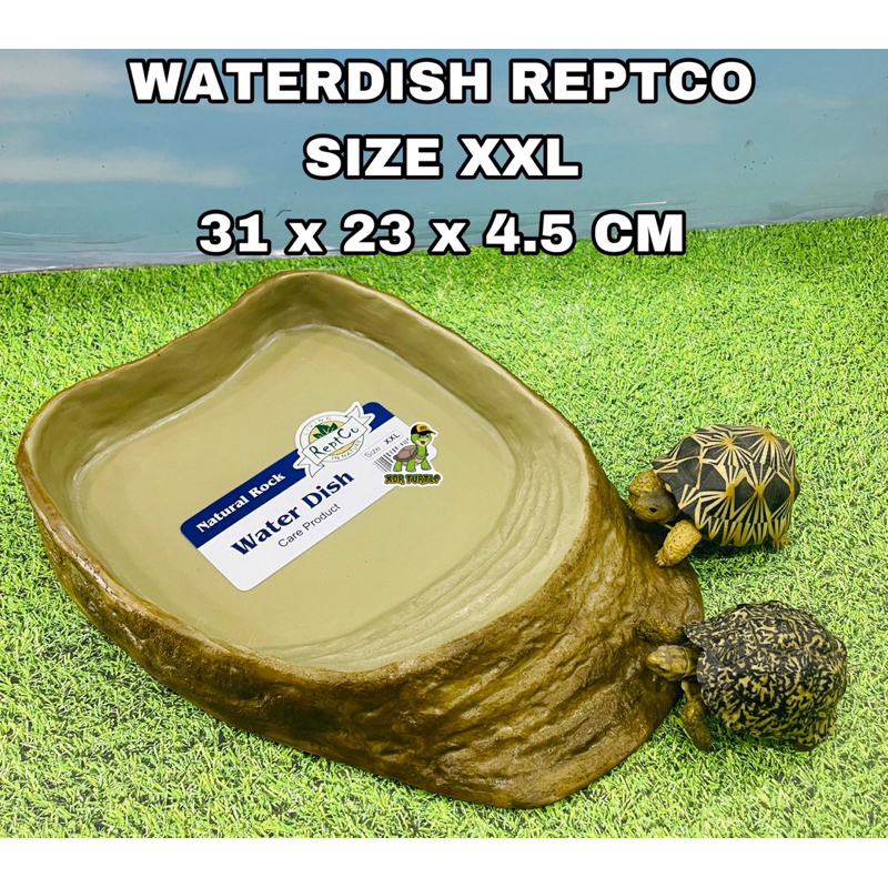 WATERDISH REPTCO SIZE XXL JUMBO TEMPAT MINUM KURA DARAT IGUANNA PANANA SULCATA ALDABRA
